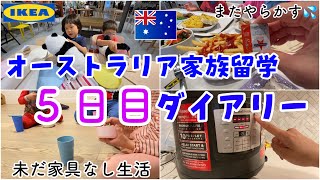 【家族留学】５日目！家具なし生活に新たな仲間入りを果たした $○○○の圧力鍋　#オーストラリア移住 #オーストラリア留学 #親子留学