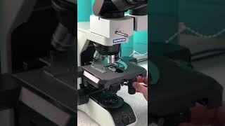 Using the Olympus BX43 microscope, equipped with Microvisioneer software.