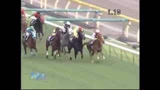 【ウオッカ】G1 5勝目 2009 ヴィクトリアマイル