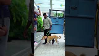 Mass Dog Entry in #ShunakaYuvarajan | #Neymar | #Shorts | #saregamamalayalam