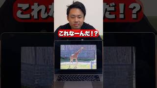 まるでアキネーターな画面予想クイズで映っている動物（キリン）を言い当てろ！！ #shorts #シルクロード #これなんだ