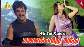 Malai Kaatru Video Song | Vedham Tamil Movie Songs | Arjun | Sakshi | Vidyasagar | Pyramid Music