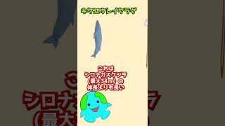 世界最大のクラゲ【キタユウレイクラゲ】声 VOICEVOX:ずんだもん　 #shorts #動物 #生物