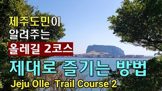 제주 도민이 알려주는 올레길 2 코스 제대로 즐기는 방법 Jeju Olle Trail Course 2