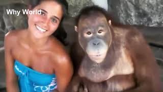 Animals Hugging Humans – Animal Hug Human Video – Animals Show Love