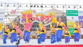 [4K] 播磨小野町きんぎょ屋　加古川 踊っこまつり 2018 1日目 本部競演場  (中央)