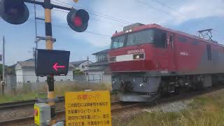 館腰駅前河内踏切でEH500形金太郎貨物列車高速通過！レアなコンテナと汽笛あり!