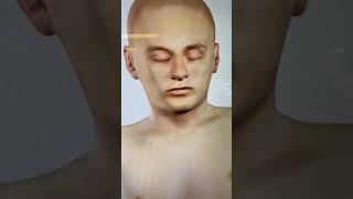 Anatomage Table: How to Use Lecture Tool?