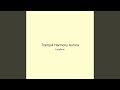 Tranquil Harmony Aurora