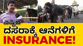 ದಸರಾ ಆನೆಗಳಿಗೆ INSURANCE ಎಷ್ಟು!? | DFO Prabhu | Dasara 2024 PublicONE Media