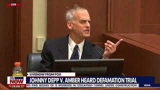 Amber Heard expert witness called Johnny Depp 'idiot' during deposition | LiveNOW from FOX