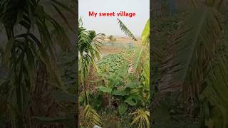 Village natural beauty #village #natural #smartbirakishor