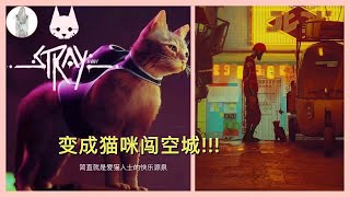 【Stray】两小时速通猫咪模拟器!!! 不包含收集要素,只是剧情速通喔