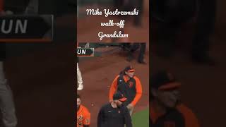MLB | Mike Yastrzemski walk off grandslam