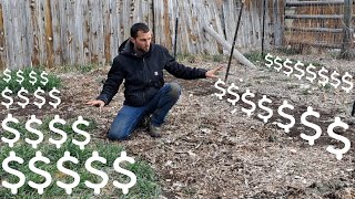 How a 220 SQ FT garden can grow $1130.46 worth of veggies in 4 months.