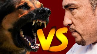 Cesar Millan Vs Aggressive Dogs Compilation Video