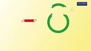 Animation 27.1 Basic principle of recombinant DNA technology