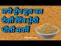 Punjabi totke te upay/ एक मुट्ठी पीली सरसों घर के इस कोने में रख दो पैसे की हो जाएगी बारिश #upay