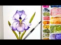 From Sketch to Stunning: Beautiful Watercolor Iris step-by-step! 🎨 Beginners this is for you