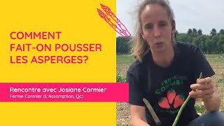 Comment fait-on pousser les asperges? Rencontre avec Josiane Cormier, productrice d'asperges vertes