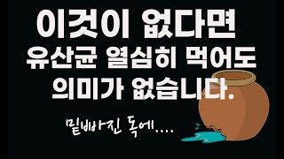 유산균의 효과를 극대화 시키려면 꼭 필요한 것은?