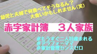 【赤字家計】３人家族で３０万あってもなぜか赤字になる/クルマ２台は贅沢？