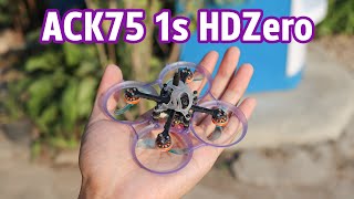 HDZero Goggles with ACK75 1s frame + RCinpower 1002 19000KV