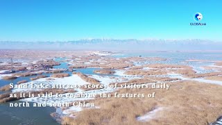 GLOBALink | Icebreaker welcomed by humans, birds in northwest China