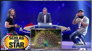 Toto ergebnisse 13er wette