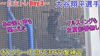 楽しくバッティング練習～一本足打法でも打った～【大谷翔平選手】あの笑い声も聞こえた！～自主トレ Day ３～Shohei Ohtani 2025  Spring Training