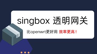 singbox搭配dae实现软网关！透明代理！比openwrt还好用！效率更高！