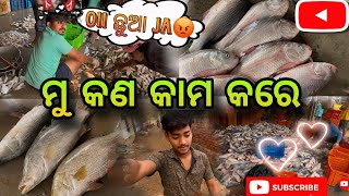 ମୁ କଣ kama କରେ. .( ମୋ lifestyle ) kasafol ମାଛ market. .#trending #balasorevlog #forupage #odiavlog .