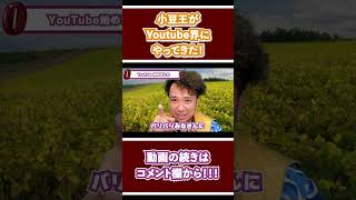 【切り抜き】小豆をなぜそんなに愛してるの？？小豆をこよなく愛する男がYoutube界にやってきた！！！　#shorts