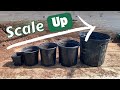 Going BIG - How to scale UP your small nursery!