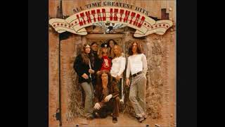 Lynyrd Skynyrd - All I Can do is Write About It (Acoustic Version)