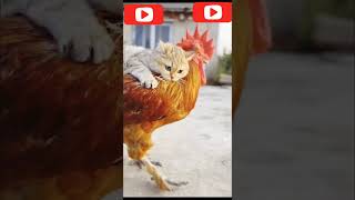 Cute Cat😍Cock funny moment #trending #cute #comedy #shortvideo #animals #shorts #foryou #following