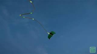 Kite Night Flight - Postcard From Texas