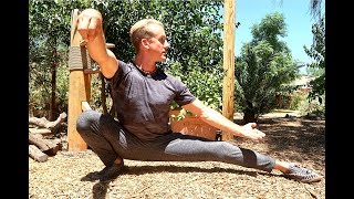 Tai Chi for Beginners | 15 Minute Routine - Amazing!