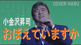 「おぼえていますか」小金沢昇司　cover HARU