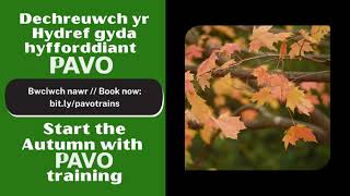 PAVO training courses - Autumn