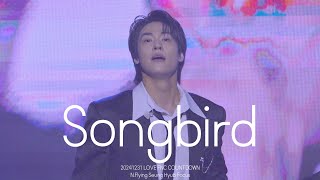 [N.Flying 엔플라잉 이승협] Songbird @LOVE FNC COUNTDOWN 러브 에프엔씨 카운트다운 20241231