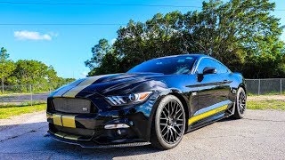 Shelby GT-H: A Rental Car?