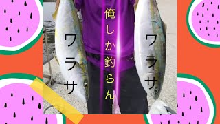 俺の為のワラサ釣り【神様あざます】