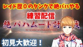 【クリアできた！】レイド歴０のタンクで絶バハムート討滅戦！　2日目【犬丸のぞみ】