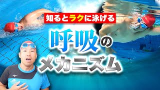 【あなたはできてる！？】正しい呼吸のメカニズムとコツで楽にクロールが泳げます！