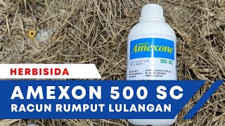 HERBISIDA AMEXONE PEMBASMI RUMPUT LULANGAN