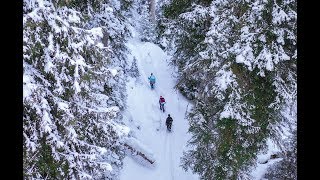 თოვლის ფეხსაცმელების ბილიკი | Snow shoes trail