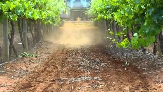 SUSTAINABLE VITICULTURE 5