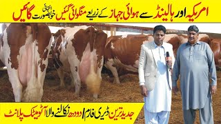 Rasul Cattle Farm | Big Cattle Farming in pakistan | Modern Cow Dairy Farm | Cow Milking Technology