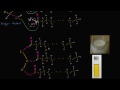 molecular structure of triglycerides fats biology khan academy